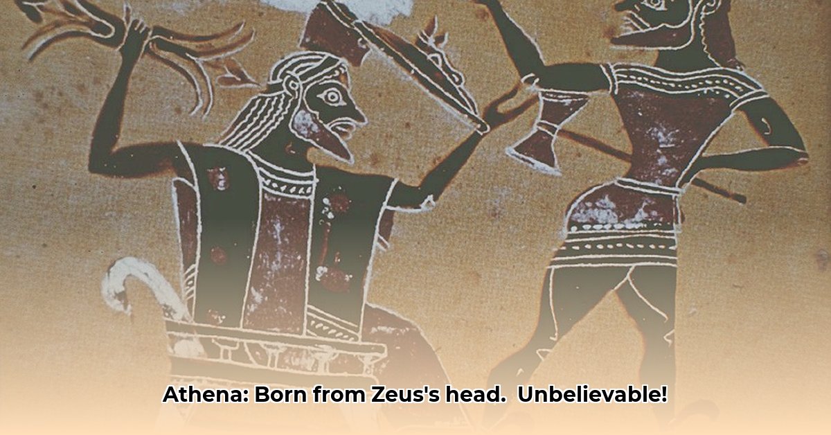 geboren-uit-het-hoofd-van-zeus